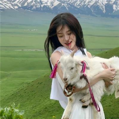 脱缰之马